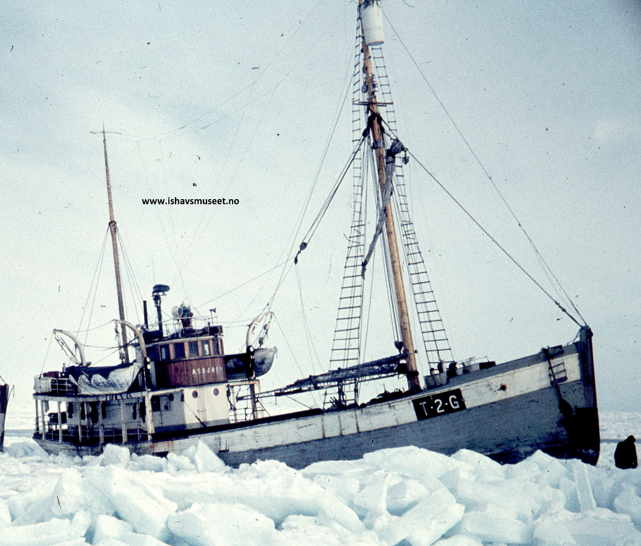 Asbjørn (I) Ishavsmuseet Aarvak
