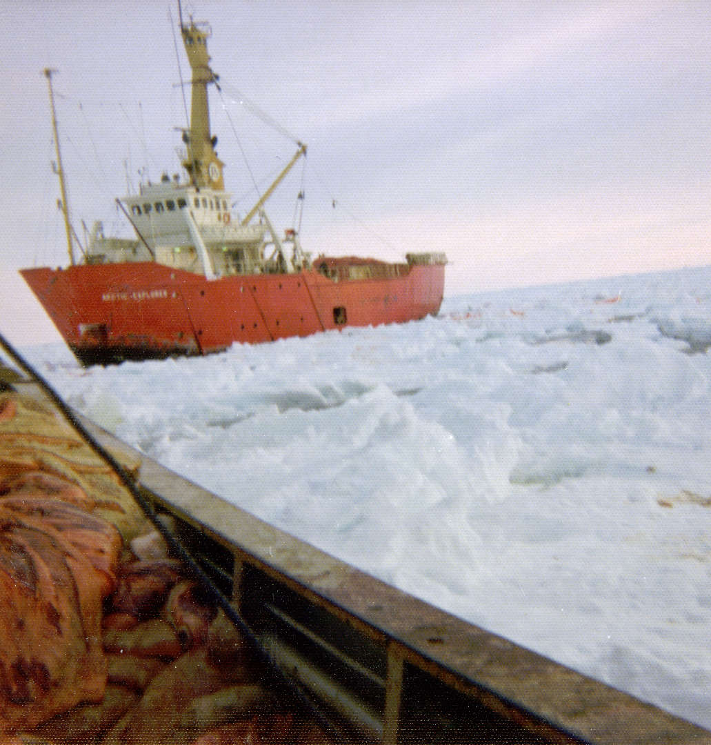 Arctic Explorer