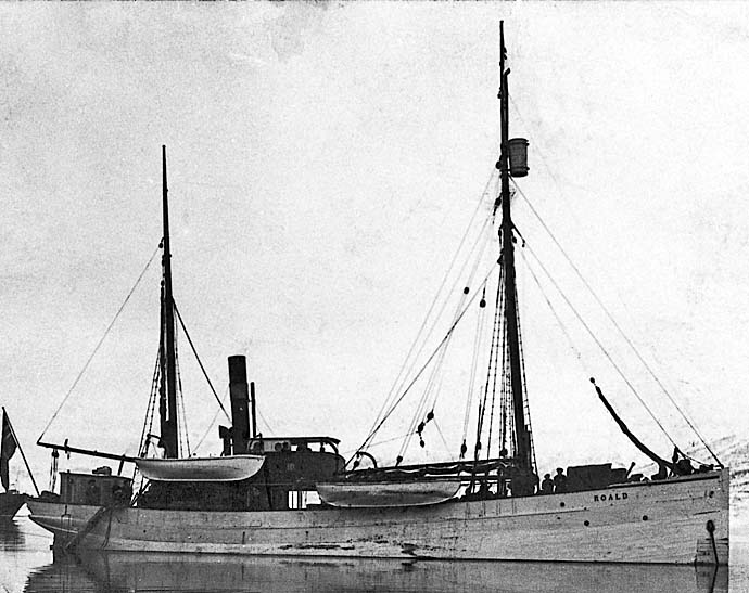 ishavsskuta roald
